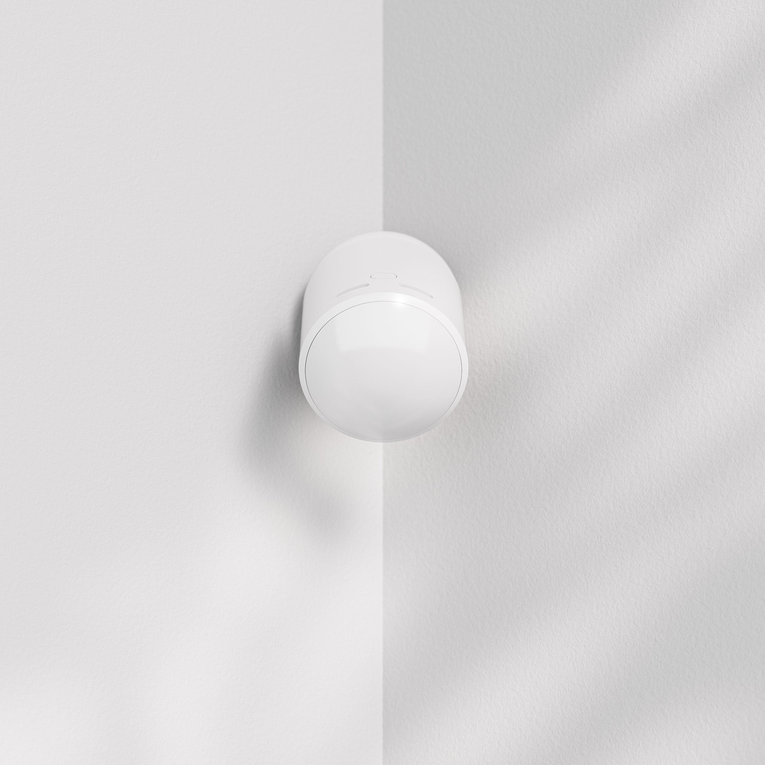 Smart Sensor